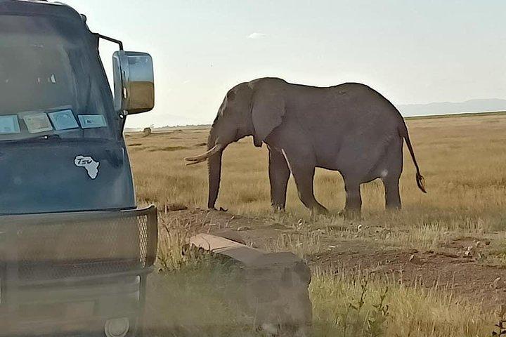 Safari 7 giorni Salt-Lick