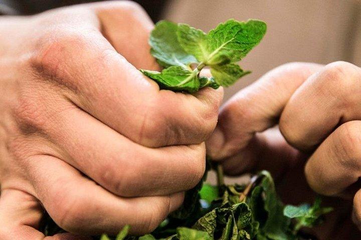 リスボンの食べ物と文化：3時間のウォーキングツアー