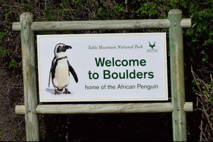 Penguins and Wine.