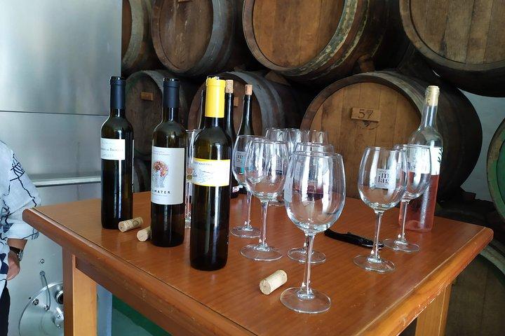 Axarquia VIP-vintur med Gourmet Winery Frokostoplevelse