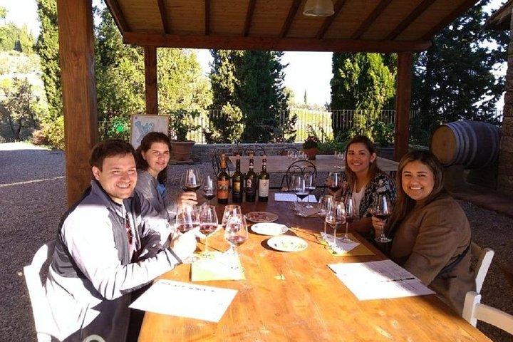Paardrijden en wijnproeverijen in een wijnmakerij van San Gimignano