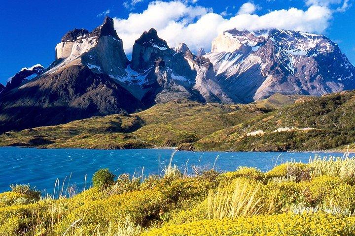 Full day Paine Privado