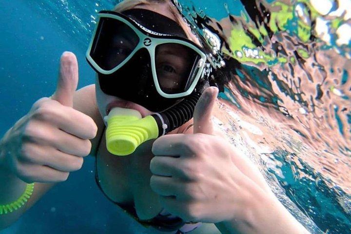 Hol Chan Full-Day Bucket List Snorkeling e tour della vita marina