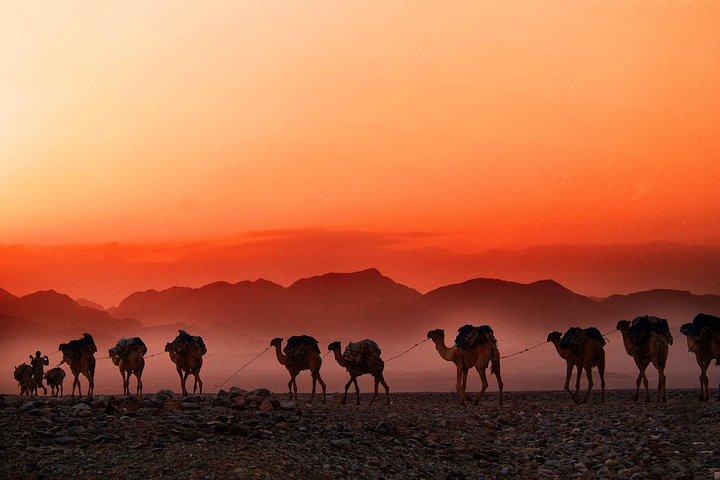 Dallol, Ertale Volcano and Danakil Depression Tour