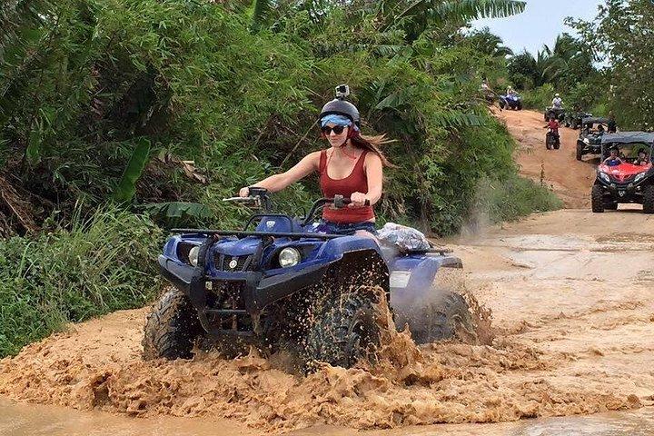 サムイ島 : 全地形対応車 (ATV) クワッド バイク ツアー