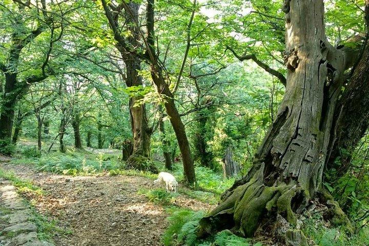 Fiets- en wandeltocht