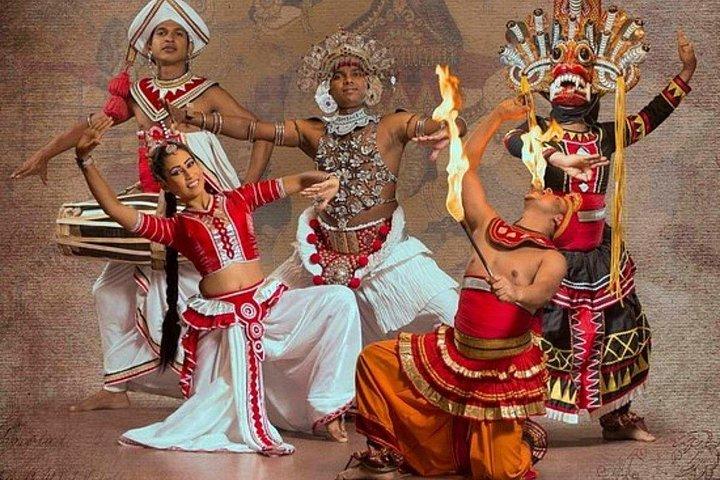Explore Sri Lanka 7 Day Private Driver Tour and Scenic Transfer