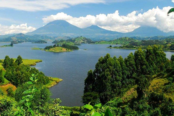 Safari para os Parques Nacionais Kibaale Forest, Queen Elizabeth e Lake Mburo