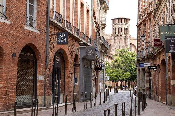 Toulouse: excursão a pé guiada privada