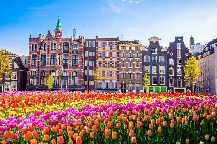 Excursión de un día a Ámsterdam desde Bruselas