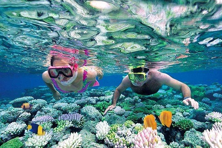 Jungle Tour & Snorkel - Scopri la laguna, le mangrovie e la vita marina