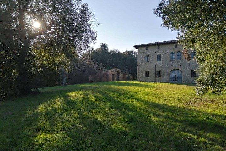 Caccia al tartufo