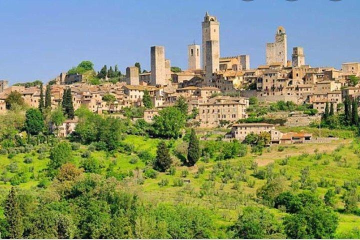 Caccia al tartufo