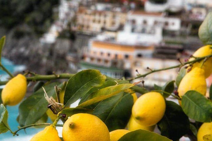 Tour enogastronomico locale a Sorrento