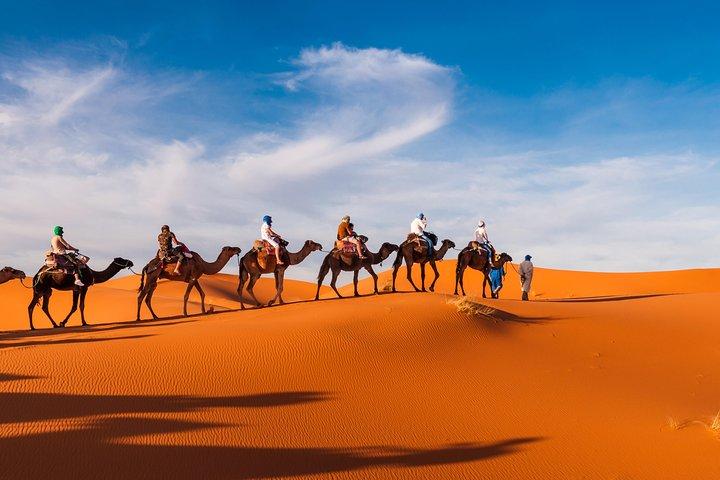 Private Abu Dhabi Evening Desert Safari (Exclusive)