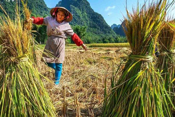 Mai Chau Walking & Cycling Day Tour