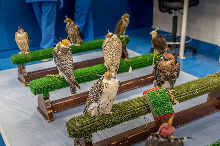 Tour dell'ospedale Falcon con prelievo e rientro in hotel
