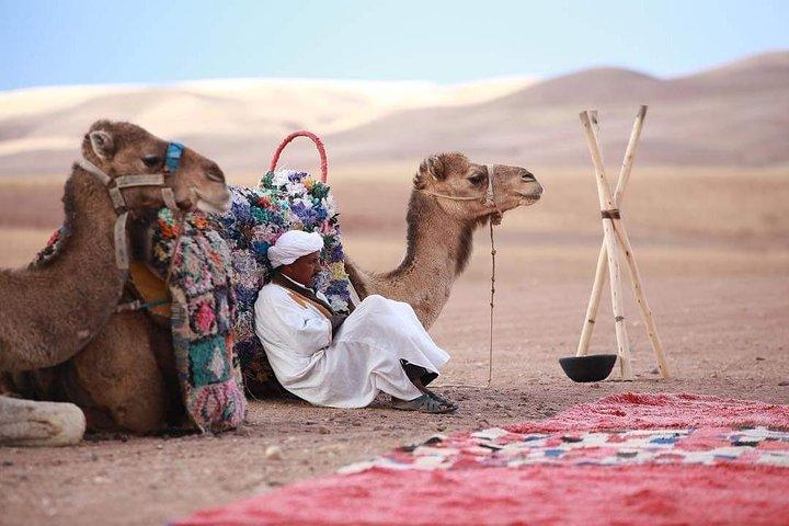 Camel ride in Agafay desert