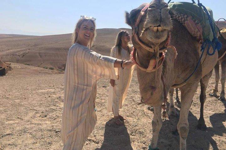 Camel ride in Agafay desert