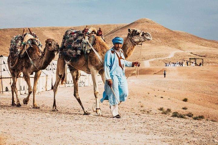 Camel ride in Agafay desert