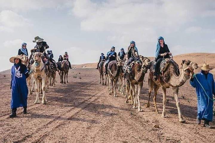 Thrill and Chill: Quad & Camel Ride Adventures i Agafay Desert