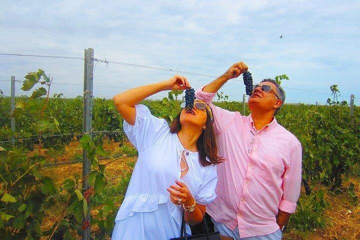 オフロードゴブスタンとワインツアーバクー、地元の昼食付き