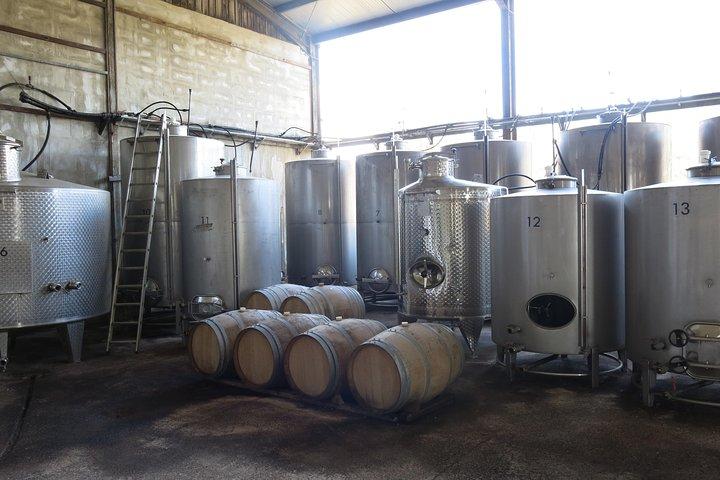Troodos Mountains Vino Venture: オールインクルーシブ1日ワインツアー