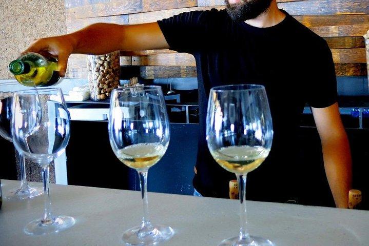 Troodos Mountains Vino Venture: オールインクルーシブ1日ワインツアー