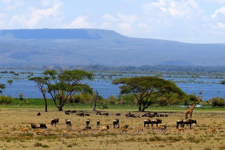 Excursion d'une journée au lac Naivasha et à l'île Crescent