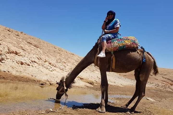 Agafay desert + quad + camel riding /dinner