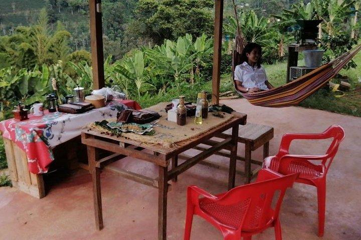 Per partecipare al tour dei giardini di Antioquia è richiesto un numero minimo di partecipanti.