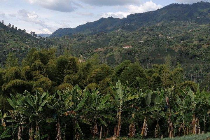 Per partecipare al tour dei giardini di Antioquia è richiesto un numero minimo di partecipanti.