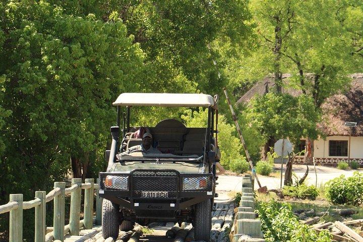 8 jours Moremi - Chobe Mobile Safari avec Mukoro
