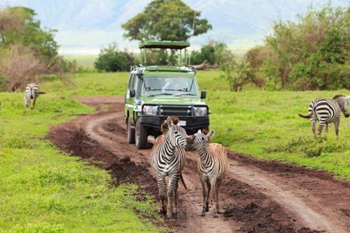 2 dages Selous Game Reserve Safari fra Zanzibar eller Dar es Salaam