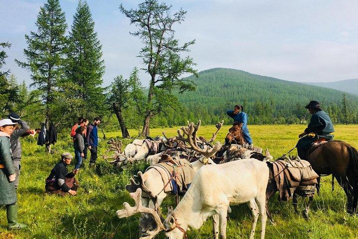 Maravillas del norte de Mongolia 15 días