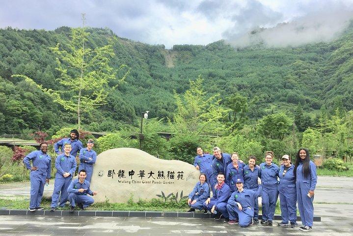 Programma di volontariato di base di Wolong Panda da Chengdu