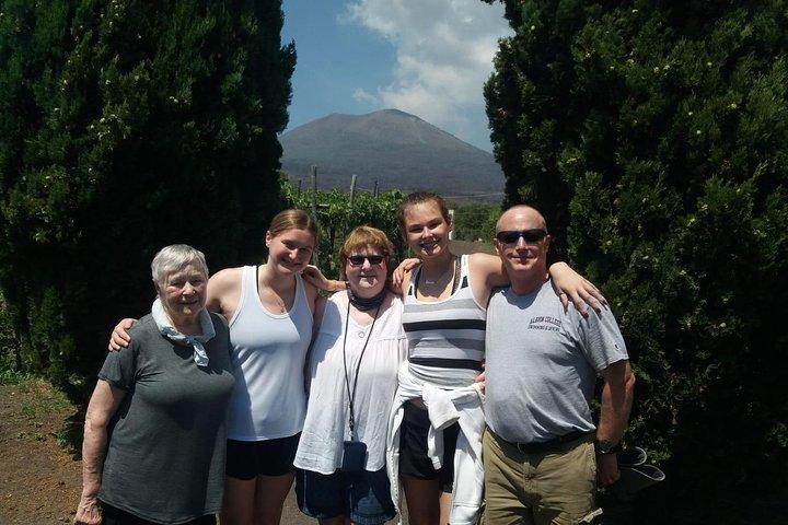 Pompeya y Herculano sin colas con almuerzo y degustación de vinos desde el puerto de Nápoles