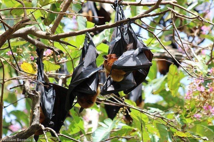 バンコクからのチャチョエンサオ1日ツアー：ロードガネーシャ寺院と寺院のBAT