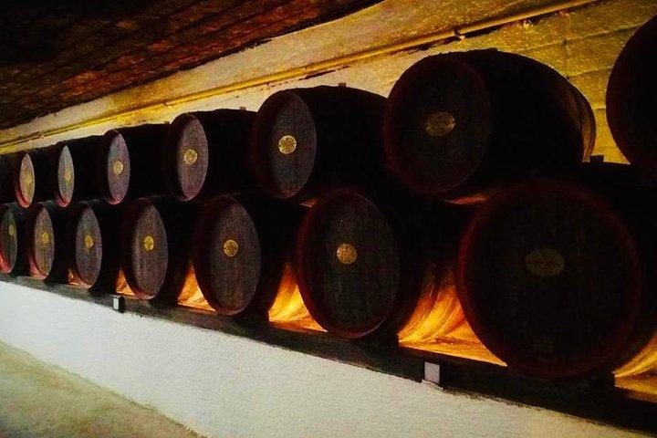Cricova Underground Winery - mit Weinprobe