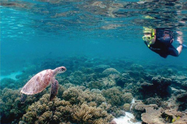 Esnórquel de 4,5 horas, buceo con acceso a playa privada y almuerzo