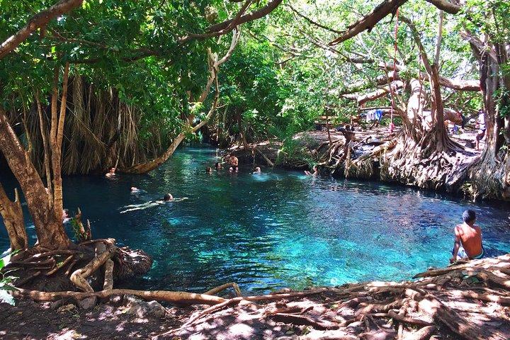 Kikuletwa Hot springs - Day Trip