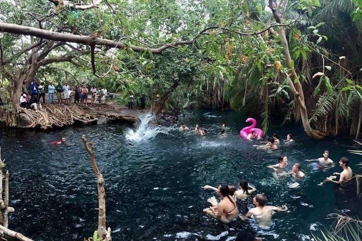 Kikuletwa Hot springs - Dagtocht