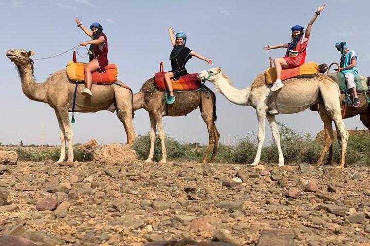 Kameludflugt på vejen til Ourika fra Marrakech