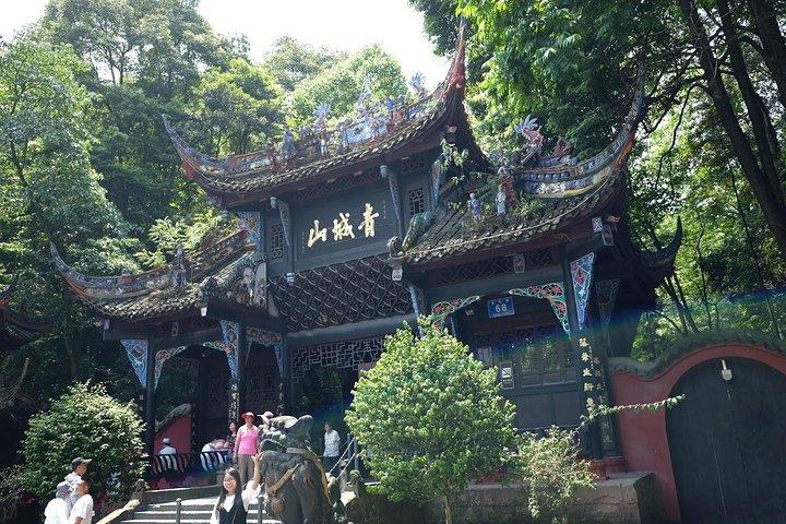 Dujiangyan Panda Base and Mt.Qingcheng one day private tour