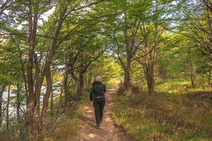 Half Day Valle Pingo (Minimum 2 pax)