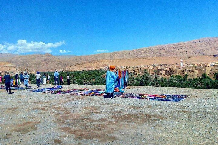 Private Day Trip to Meknes, Volubilis & Moulay Idriss from Fes