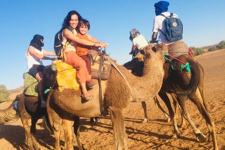 Fesからメクネス、ヴォルビリス＆ムーレイ・イドリスへのプライベート日帰り旅行