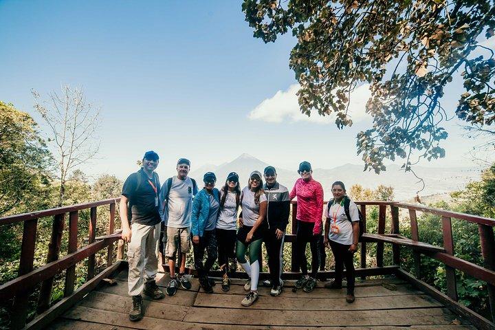Excursion de randonnée partagée au volcan Pacaya