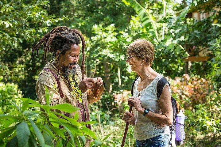 Rastafari Indigenous Village Tour