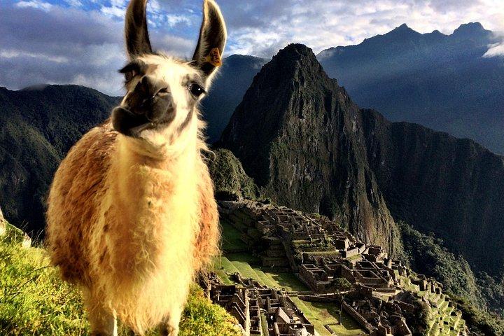 MACHU PICCHU dia inteiro
